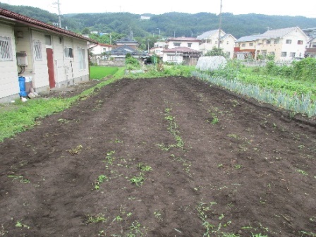きれいになった畑 きれいになった畑